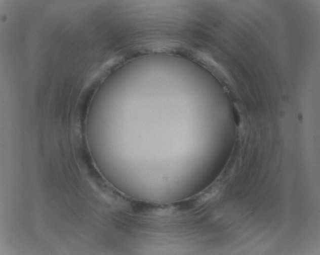 X0000077370306200611101711