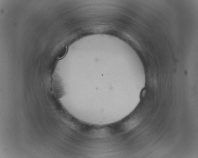 X0000077370307200611101711