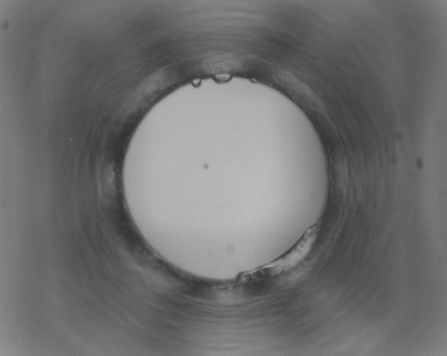 X0000077370308200611101711