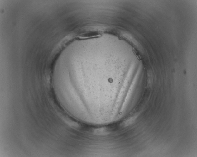 X0000077370309200611101711