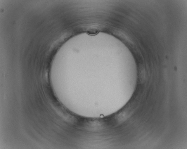 X0000077370310200611101711