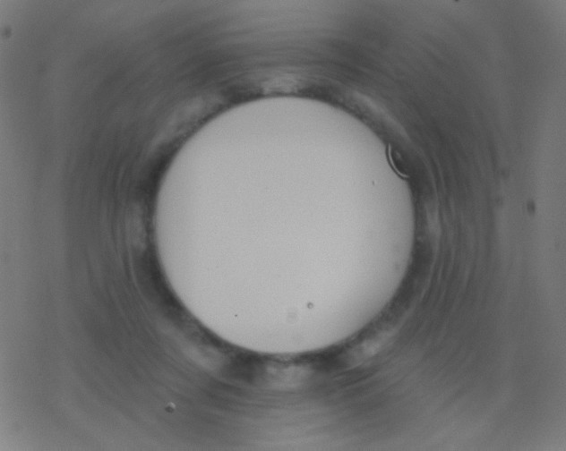 X0000077370311200611101711