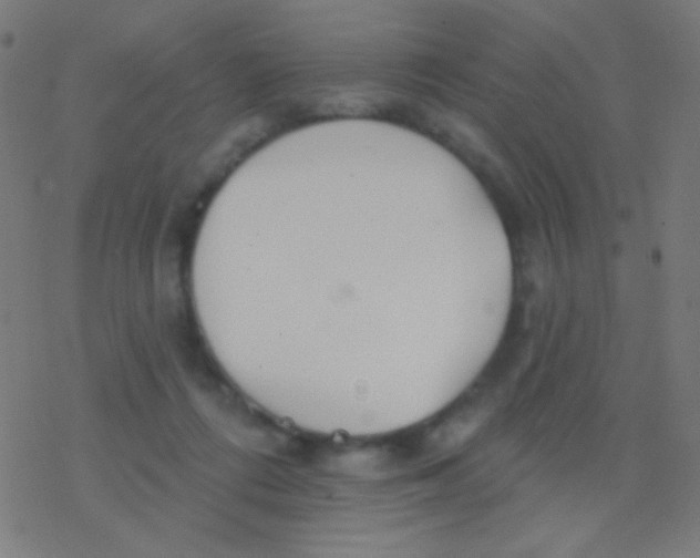 X0000077370312200611101711