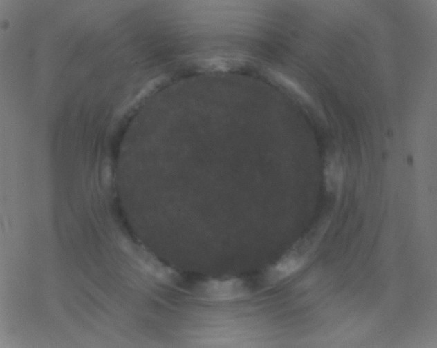 X0000077370314200611101711