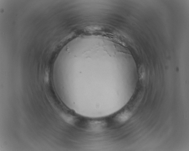 X0000077370315200611101711