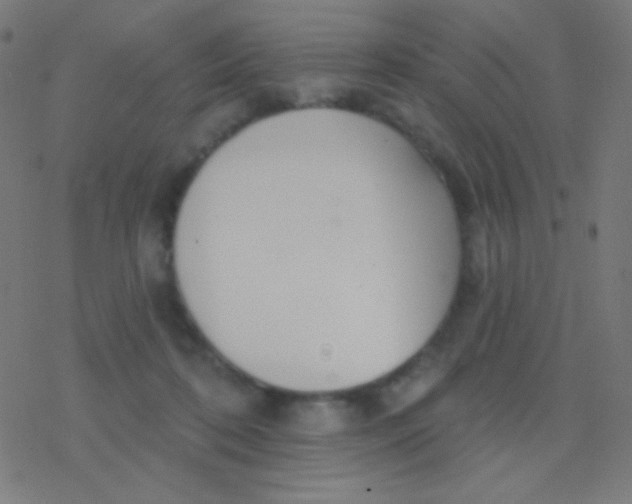 X0000077370316200611101711