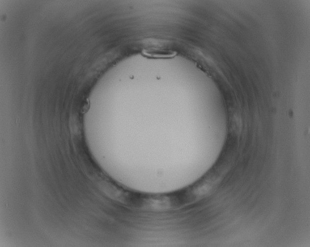 X0000077370317200611101711