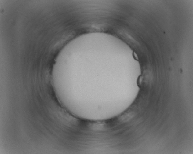 X0000077370318200611101711