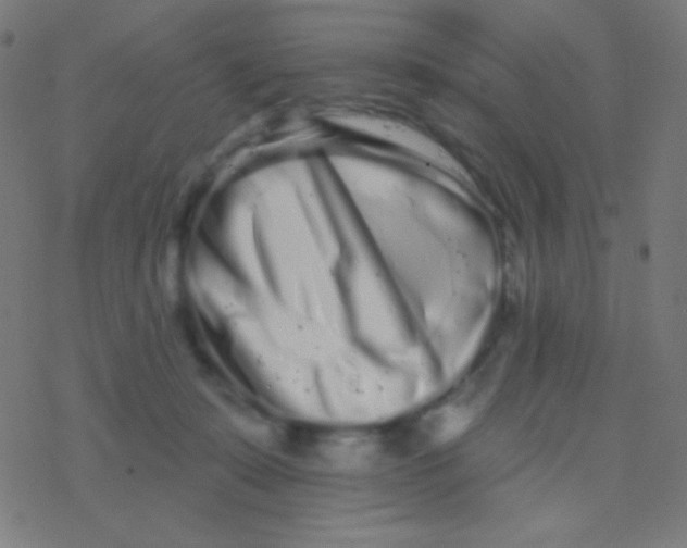 X0000077370319200611101711