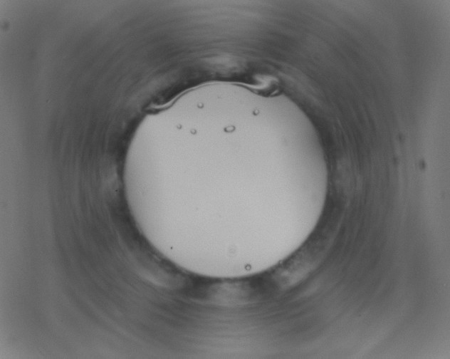 X0000077370320200611101711