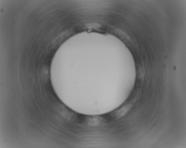 X0000077370321200611101711