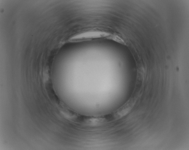 X0000077370323200611101710