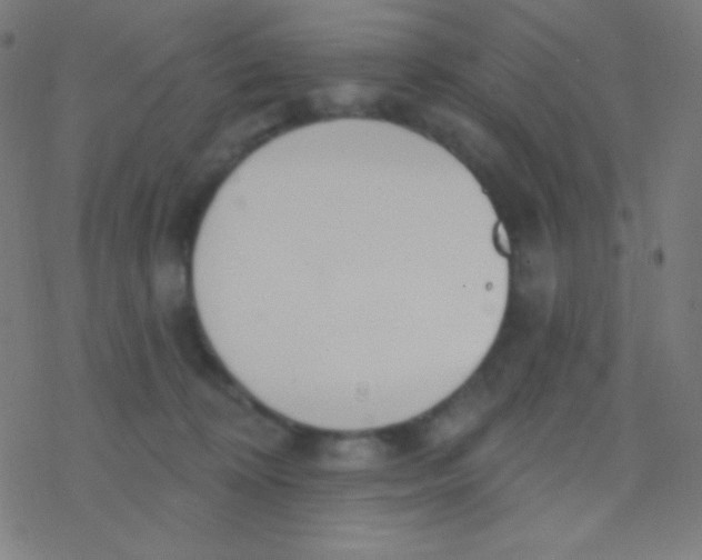 X0000077370324200611101710