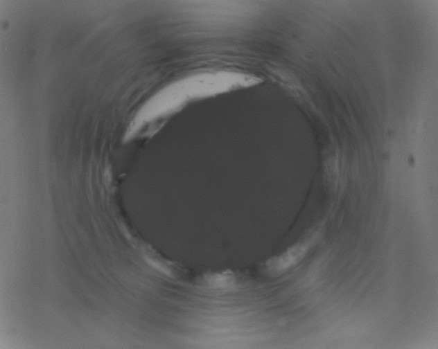 X0000077370325200611101710