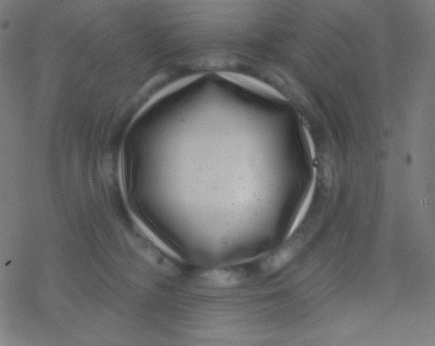 X0000077370326200611101710