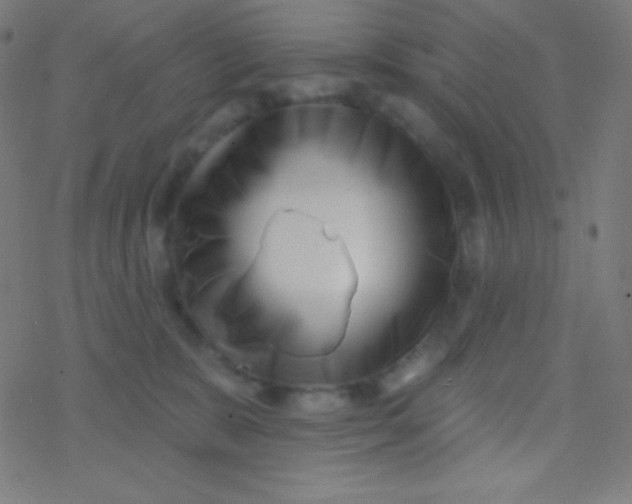 X0000077370327200611101710