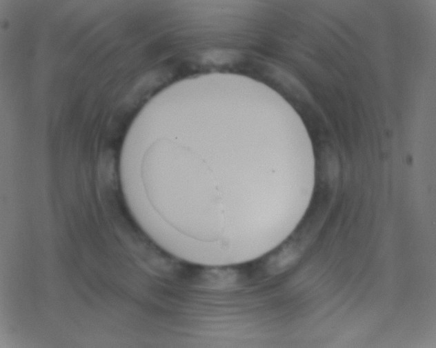 X0000077370328200611101710