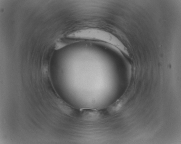 X0000077370329200611101710