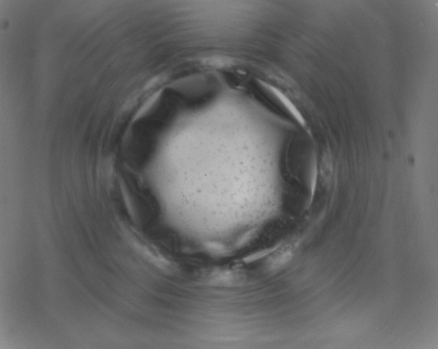 X0000077370330200611101710