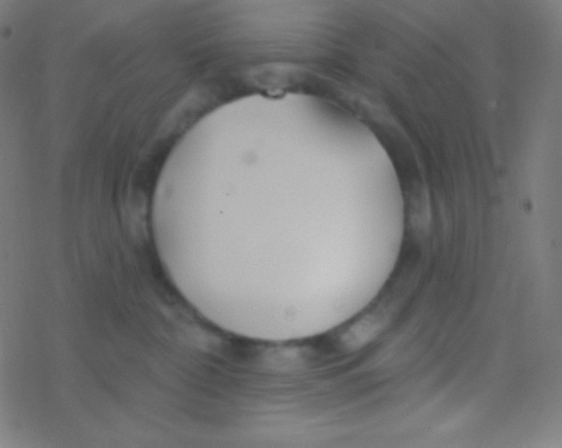 X0000077370332200611101710