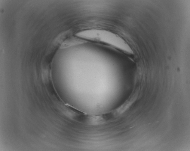 X0000077370333200611101710