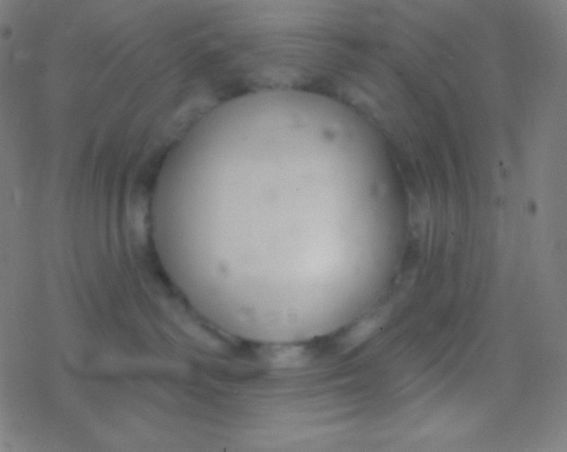 X0000077370334200611101710