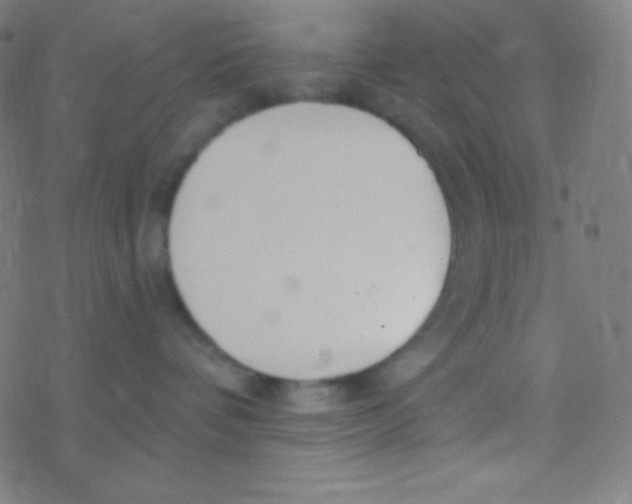 X0000077370336200611101710