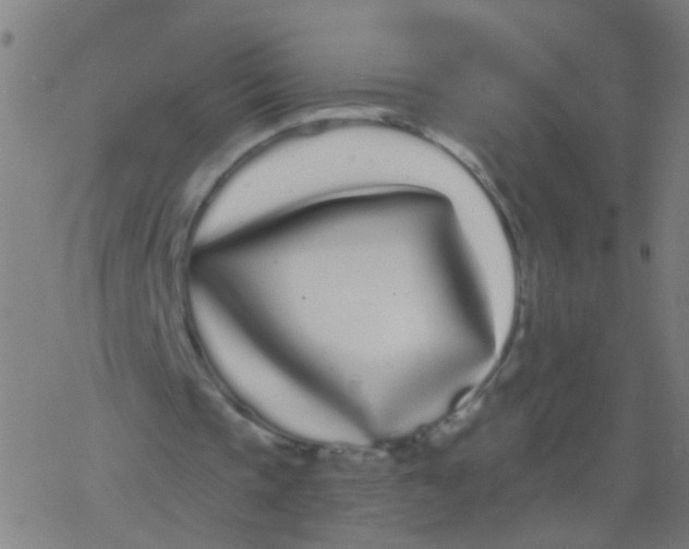 X0000077370337200611101709