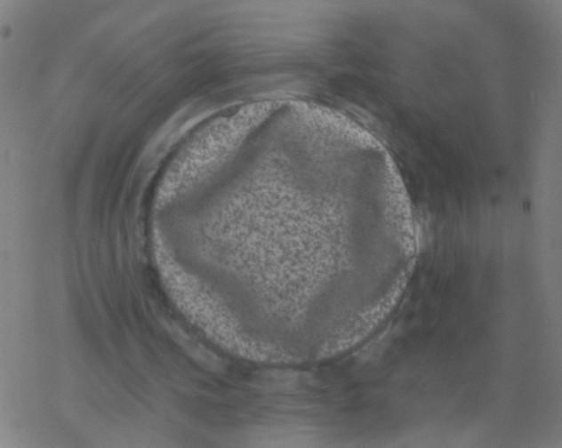 X0000077370339200611101710