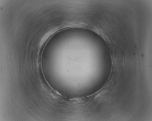 X0000077370340200611101710