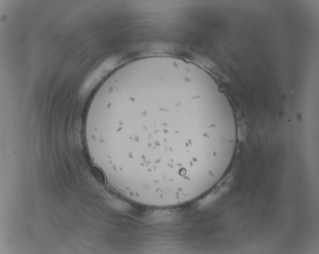 X0000077370341200611101710