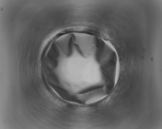 X0000077370342200611101710