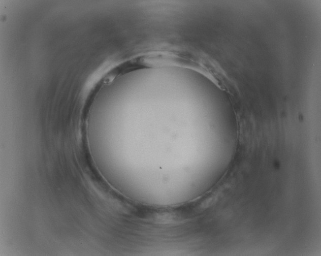 X0000077370344200611101710