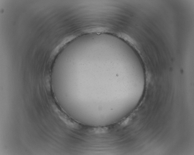 X0000077370345200611101710