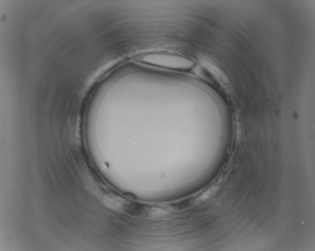 X0000077370346200611101710