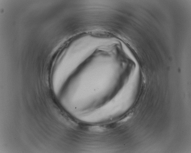 X0000077370347200611101710