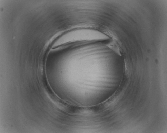 X0000077370348200611101710