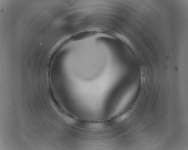 X0000077370349200611101710