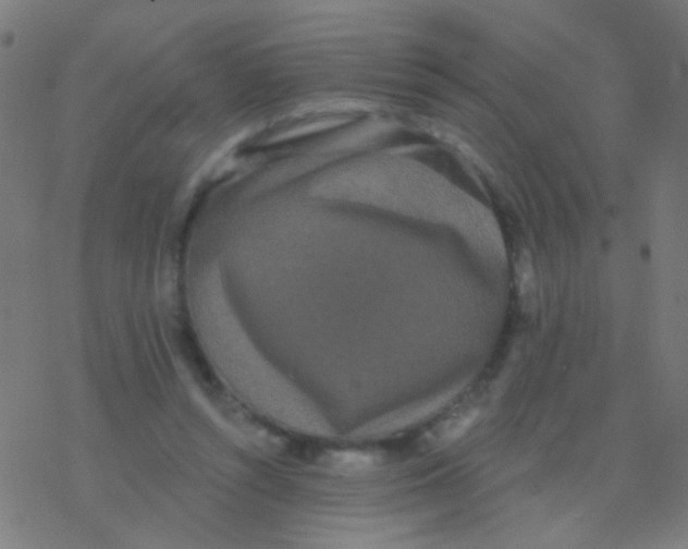 X0000077370352200611101710