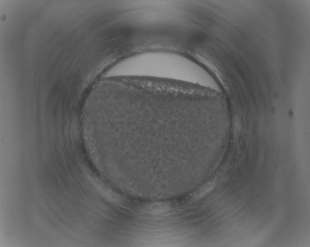 X0000077370353200611101710