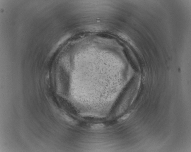 X0000077370355200611101710