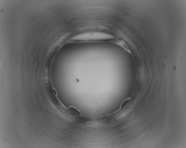 X0000077370356200611101710