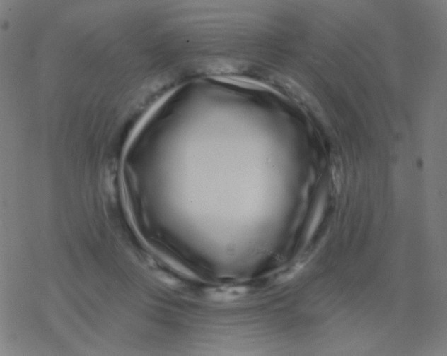 X0000077370359200611101710