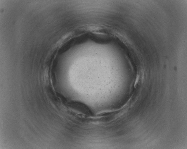 X0000077370360200611101710