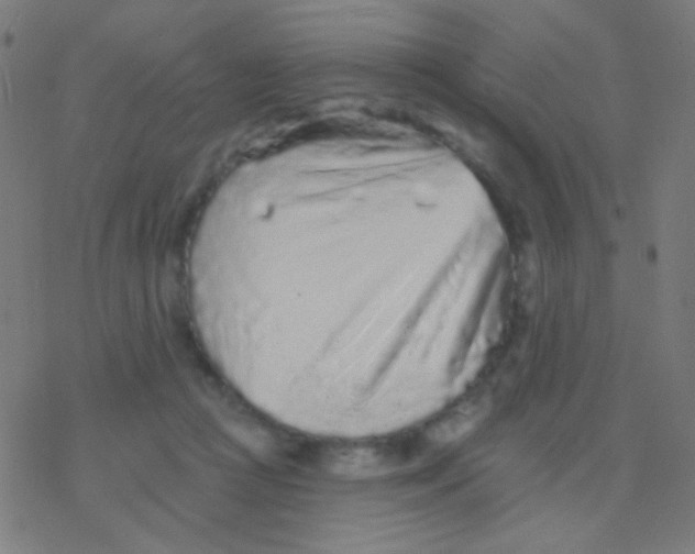 X0000077370361200611101710