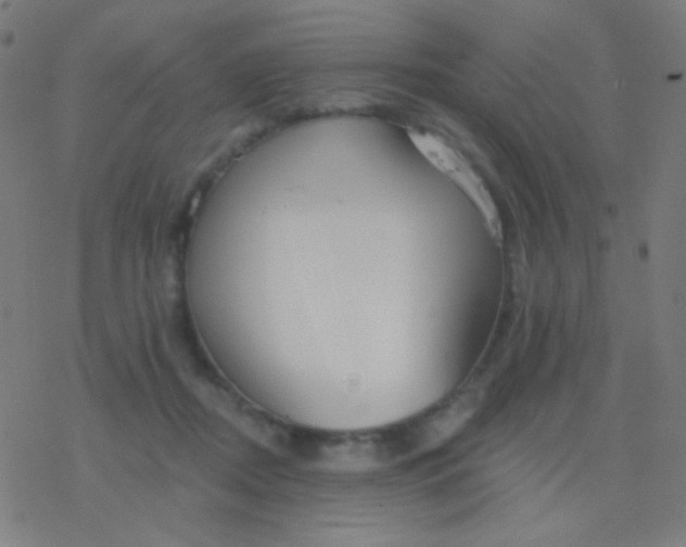 X0000077370362200611101710