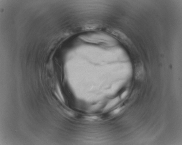 X0000077370365200611101710