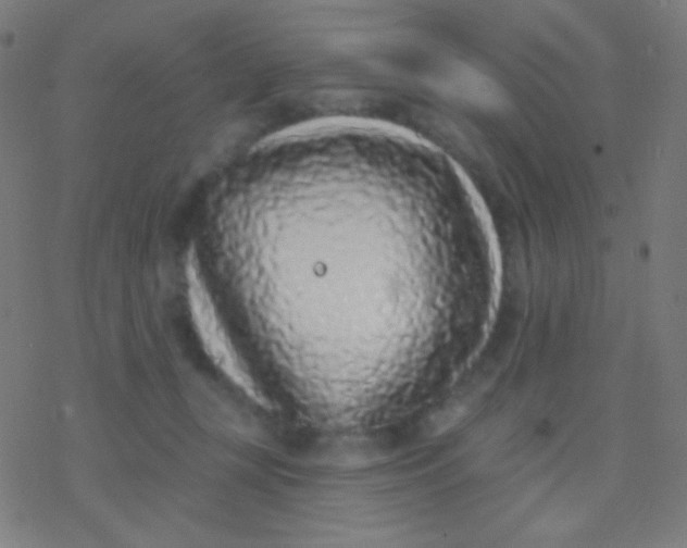 X0000077370367200611101710