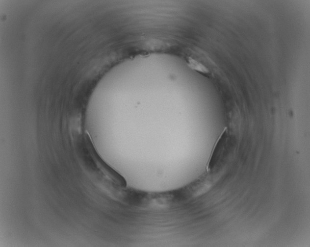 X0000077370368200611101710