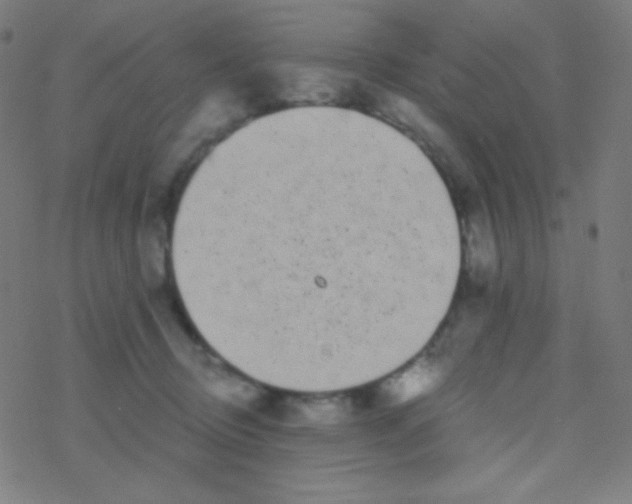 X0000077370370200611101710